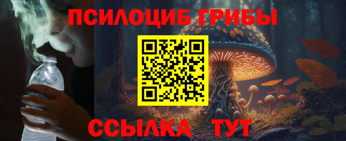 наркошоп  Псилоцибиновые грибы мухоморы  Вход с VPN  Менделеевск 