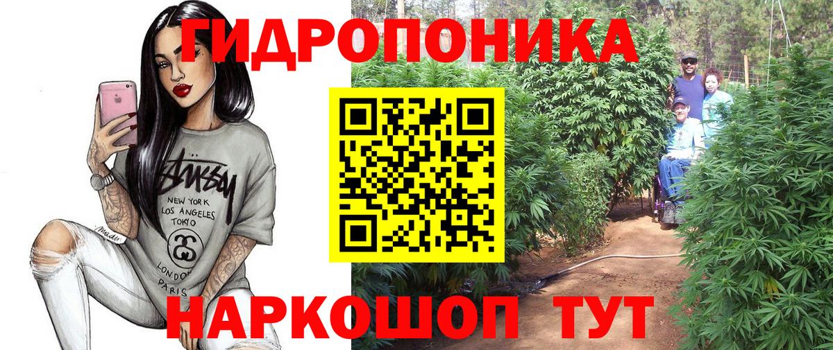 Конопля планчик  Шишки марихуана тримм  Менделеевск  МАРИХУАНА OG Kush  Вход с VPN  Конопля планчик 